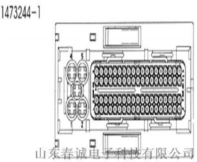 TE进口连接器 1473244-1 现货